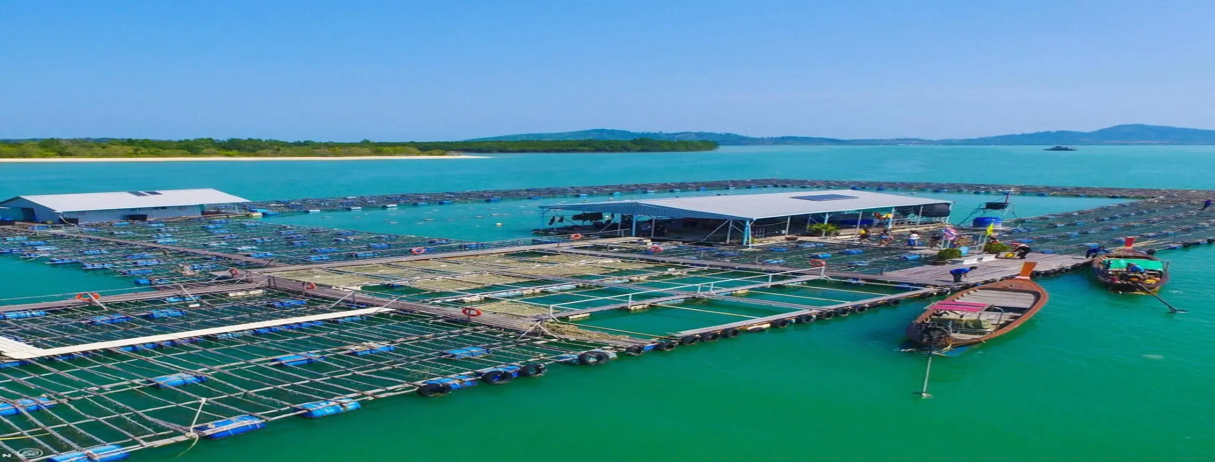 Image for Pearl Farm Visit
